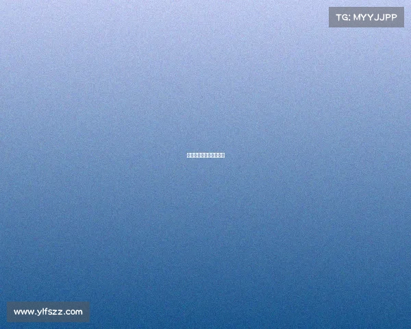 篮球赛事流程都包括哪些